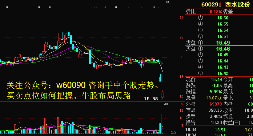 西水股份最新动态与小巷深处的独特风味探秘