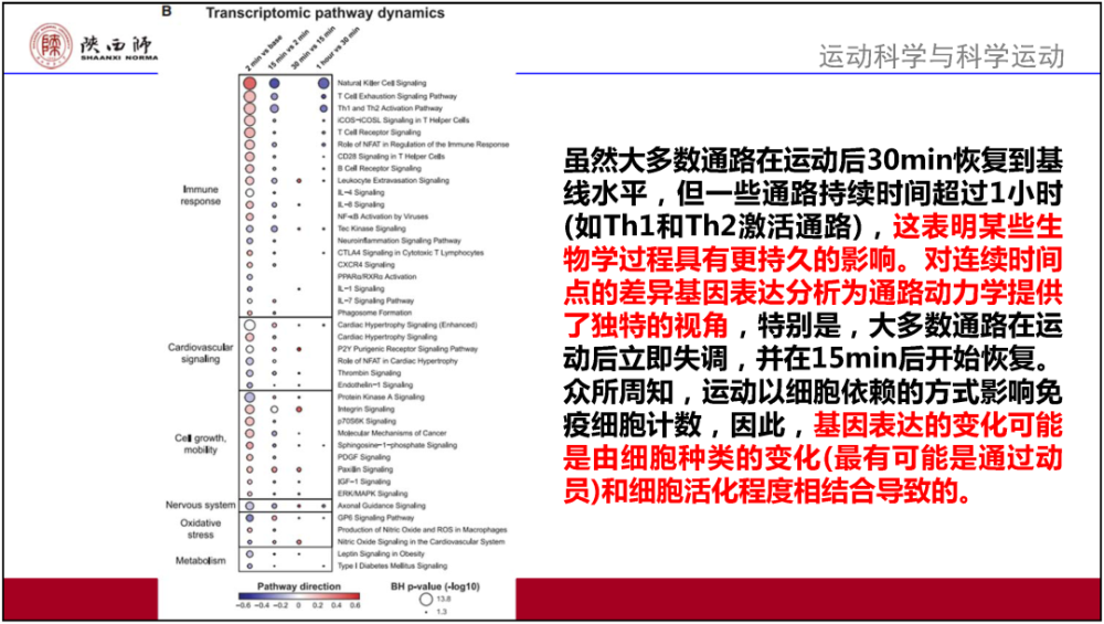 2024澳门正版资料全面解读：BCP783.25大师版详析