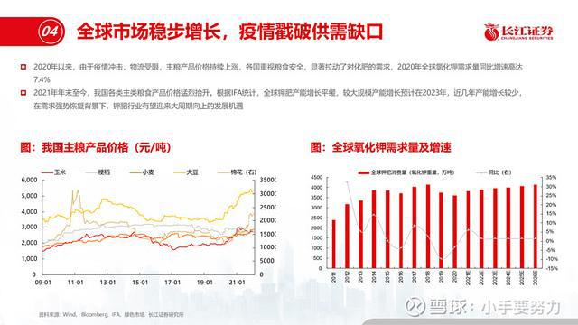 亚钾国际最新动态及相关观点深度解析