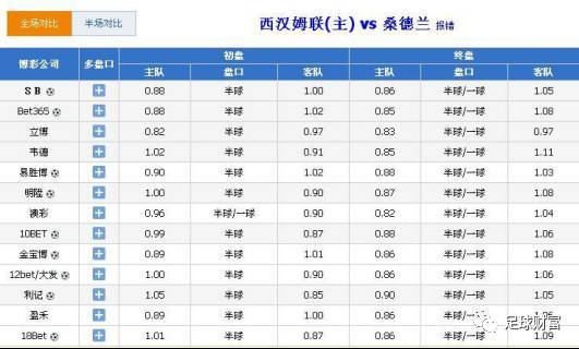 2024澳门管家婆三肖全预测，精华解析版IJK79.71_管家婆管理专版