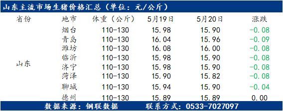 山东最新生猪价格今日更新，火热猪价动态！