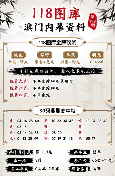 澳门王中王百分百中奖秘籍，精准策略全面执行_WBC2.76.73远光版