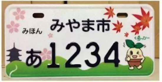 2024香港今晚特马揭晓，实战方案设计之ZFS8.45.68潮流版揭秘