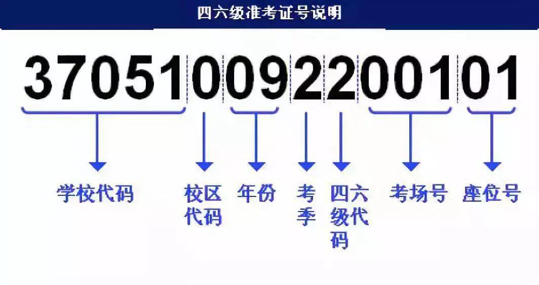 最新新澳天天开奖免费资料及专业问题解答_EME1.42.22跨平台版