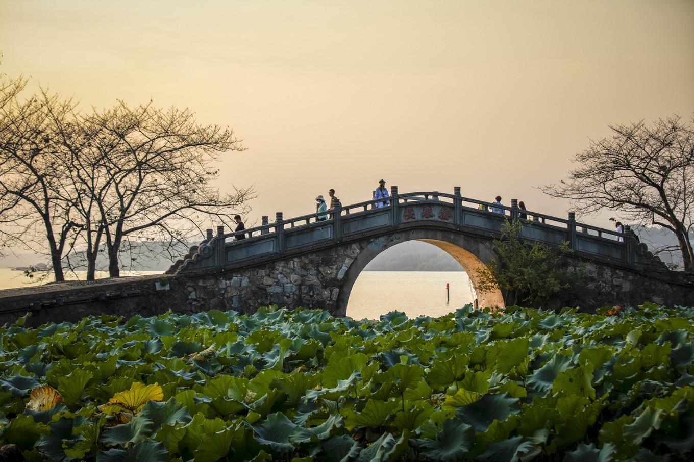 地震最新动态，探索自然美景之旅与内心平静的追寻