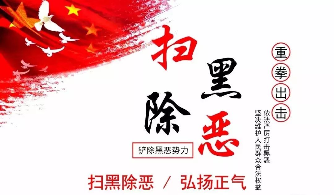 扫黑除恶最新动态更新，扫黑除恶最新消息汇总