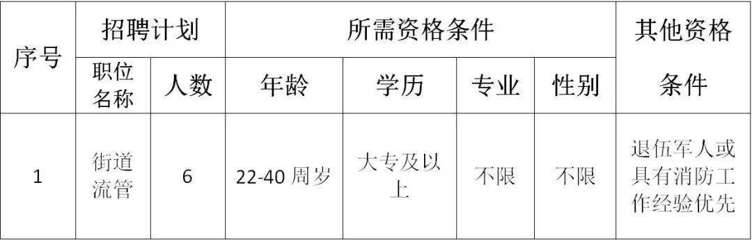 嘉定区招聘网最新招聘，小巷深处的隐藏人才宝藏