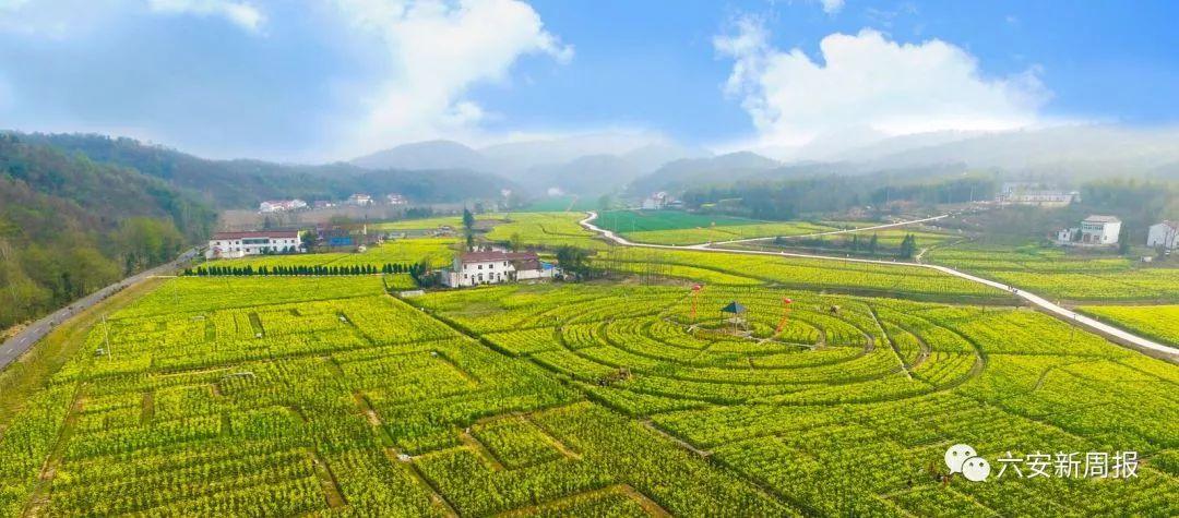 六安最新地图探索之旅✨