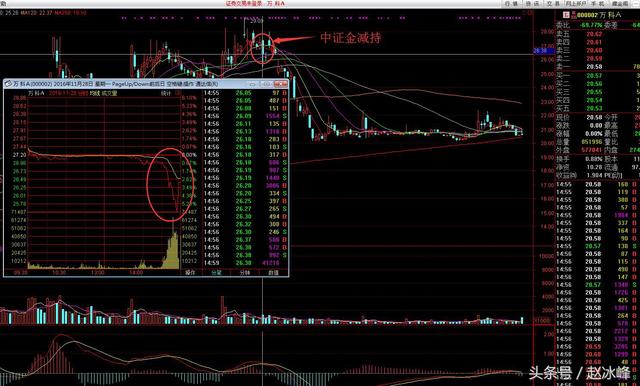 澳门今晚开特马四不像图,专业调查具体解析_FHW35.803冷静版