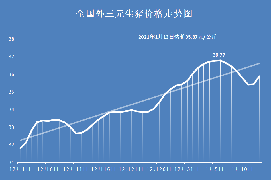 今日猪价最新预测及分析