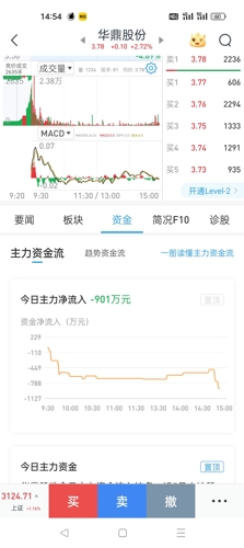 华鼎股份最新消息揭秘，小巷深处的独特惊喜