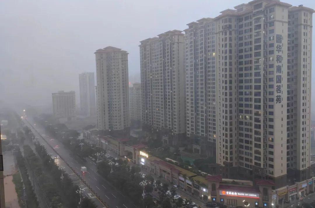 湛江市台风最新消息，风雨中的小巷美食故事