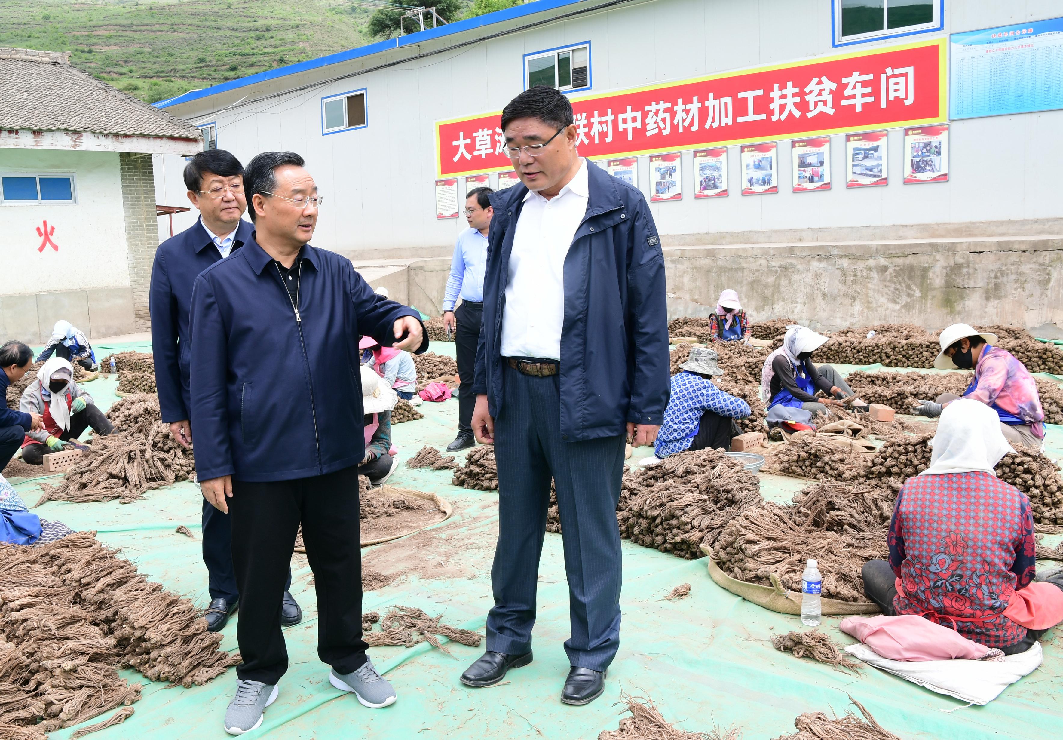 新联电子最新动态更新，最新消息汇总