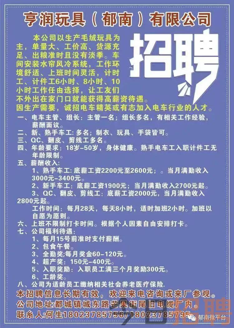 全南最新招聘信息揭秘，小巷里的职业宝藏