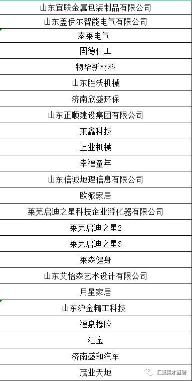 莱芜金点子最新招聘，科技重塑未来，携手启航之旅