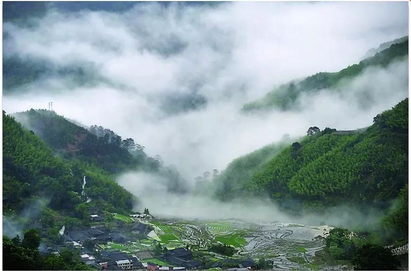 浙江震元最新消息揭秘，自然美景之旅，探寻内心平和宁静之道