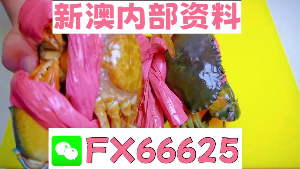 新澳精准内部码资料期期准,高速响应计划执行_FNN79.323愉悦版