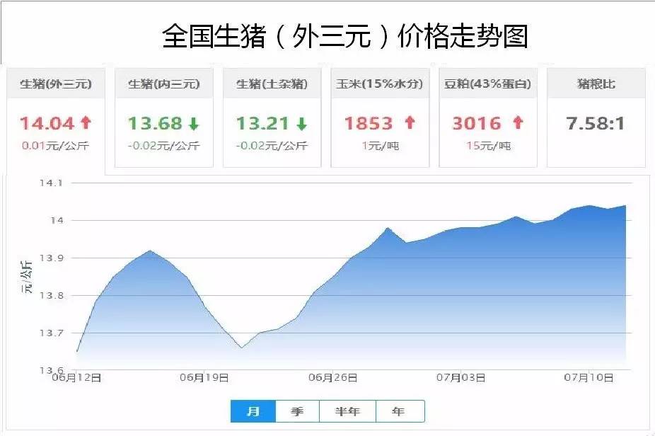 全国生猪价格最新行情及分析概述