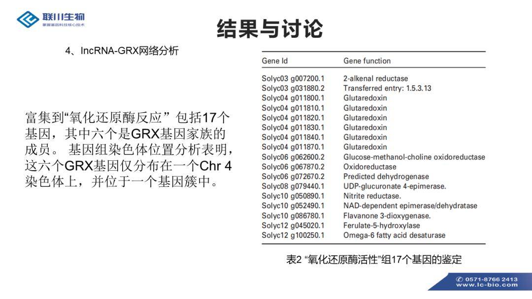 香港免费大全资料大全,标准执行具体评价_梦想版NRT13.95