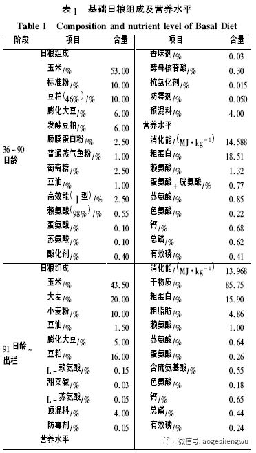 猪免疫程序表更新，变化中的学习与实践的力量，自信守护健康养殖