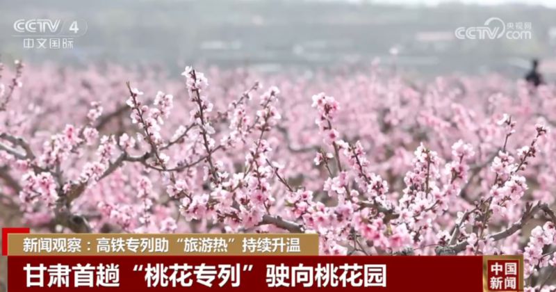 落花网最新网址，开启温馨的友情之旅