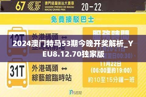 2024今晚澳门开特马开什么,全面信息解释定义_SJK37.652先锋版