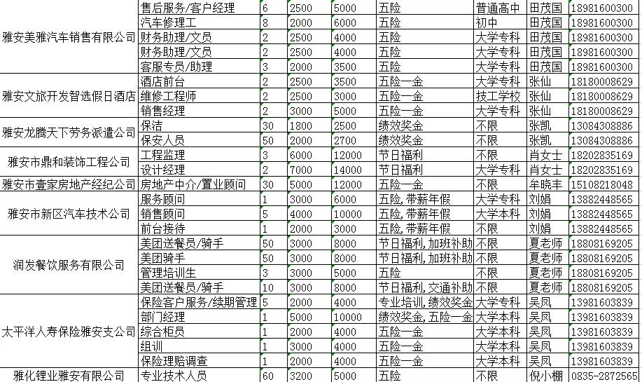 雅安雨城最新招聘信息详解，解读与观点阐述