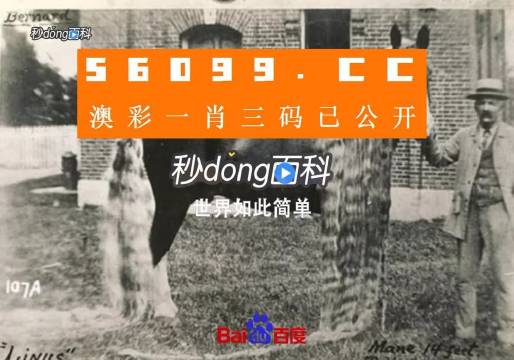 一点红澳门一肖一码,互动性策略设计_PVB37.768冷静版