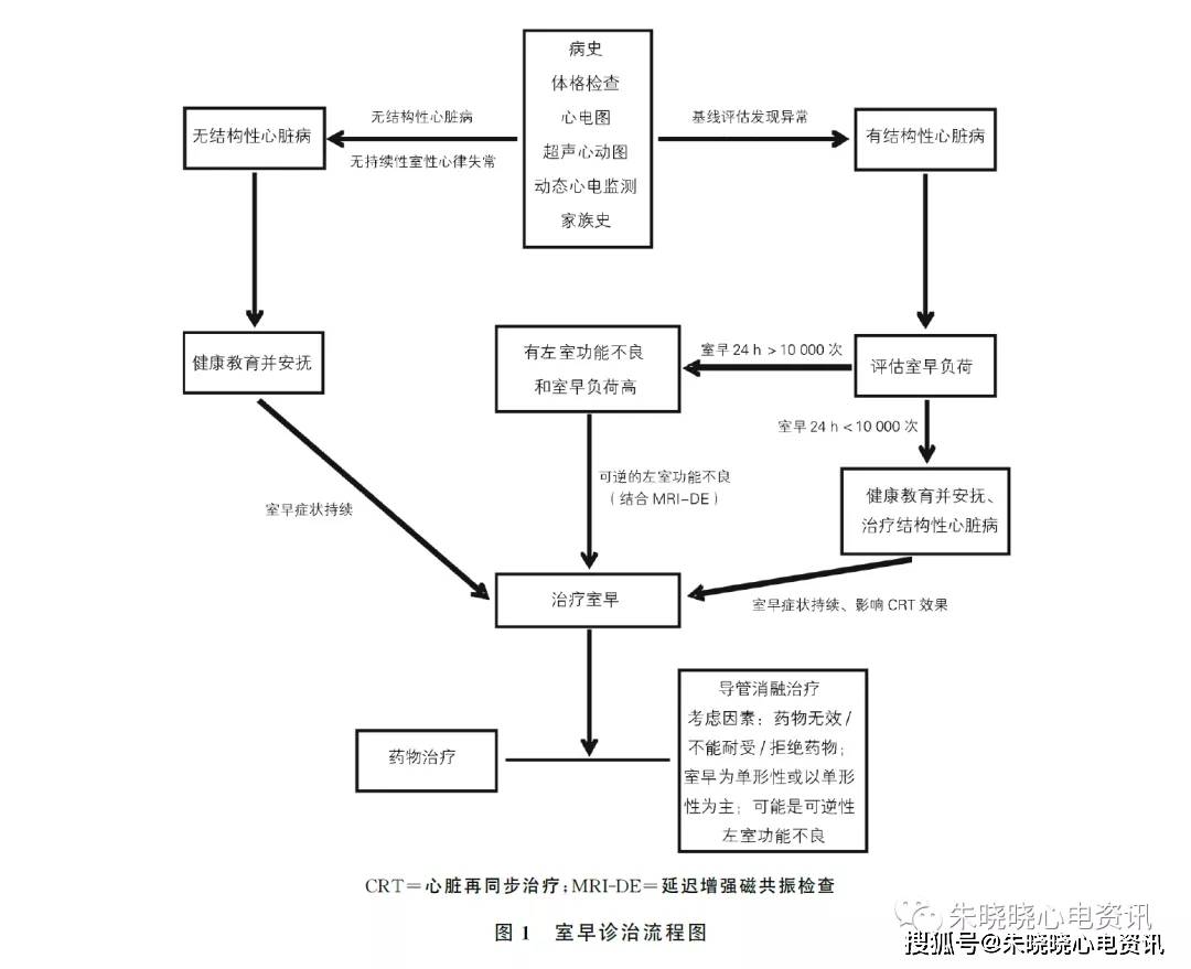 香港最快免费内部资料香,机制评估方案_NGJ37.844专家版