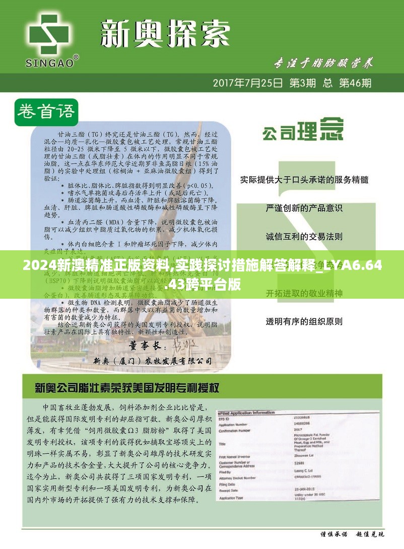 2024新澳精准资料,数据指导策略规划_YEQ37.878加速版