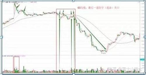 老马识途 第9页