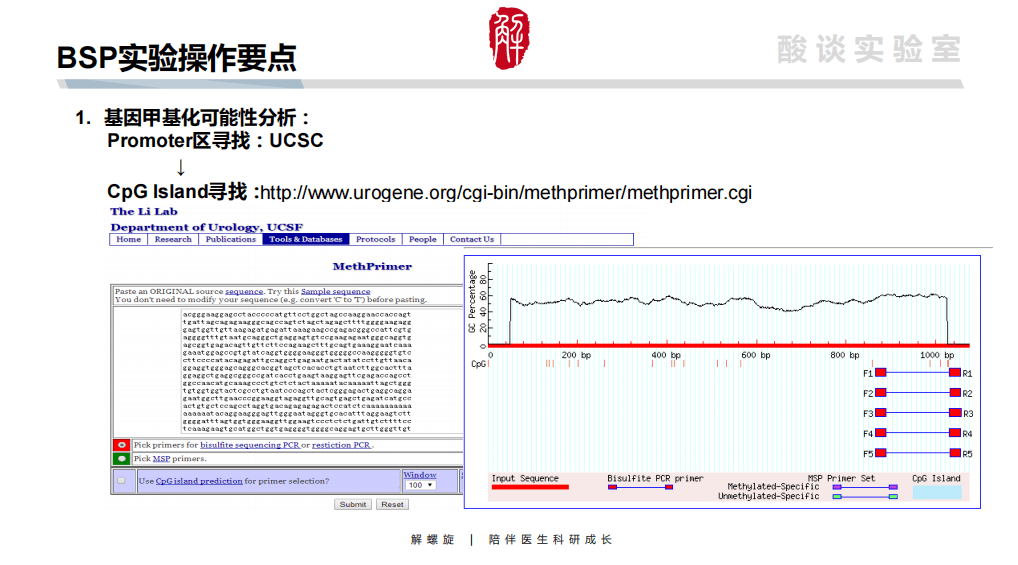 澳门码资料大全,实地数据评估分析_CFQ77.625旅行版