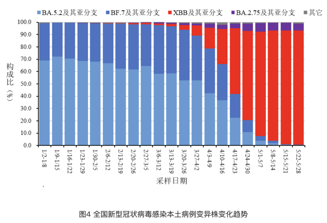 新澳开奖,数据驱动方案_CQD77.998方案版