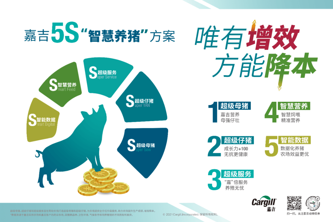 202新澳免费资料内都,安全保障措施_LKQ77.990增强版