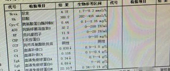 血肌酐正常值最新标准详解与观点论述