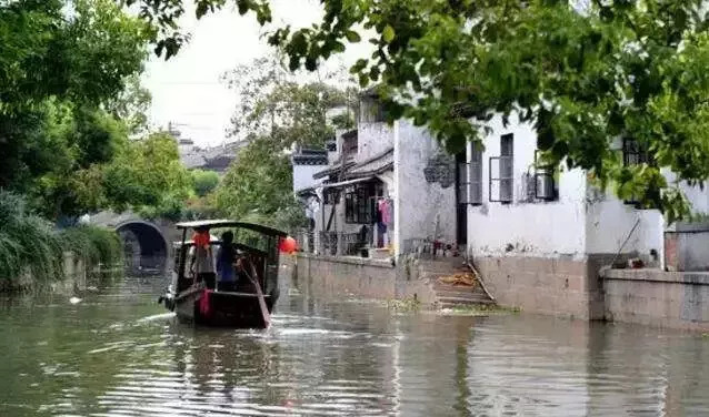 青浦练塘规划最新动态，详细步骤指南与最新消息解读