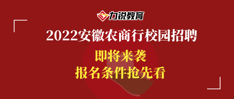 龙岩最新招聘信息，求职奇遇与友情的绽放——温暖故事回顾