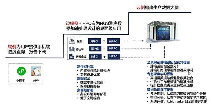 澳门精准资料水果奶奶,数据导向程序解析_GCK34.392计算机版