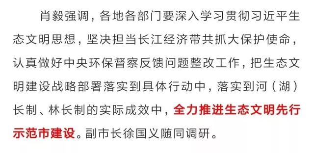 黄大仙精选三肖三码资料五生肖五行属性心软是病,深入探讨方案策略_JAF34.999颠覆版