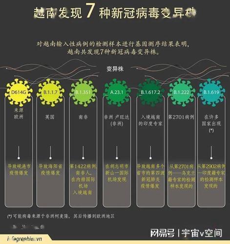 2024年11月新冠高峰期,设计规划引导方式_WNC49.884灵动版