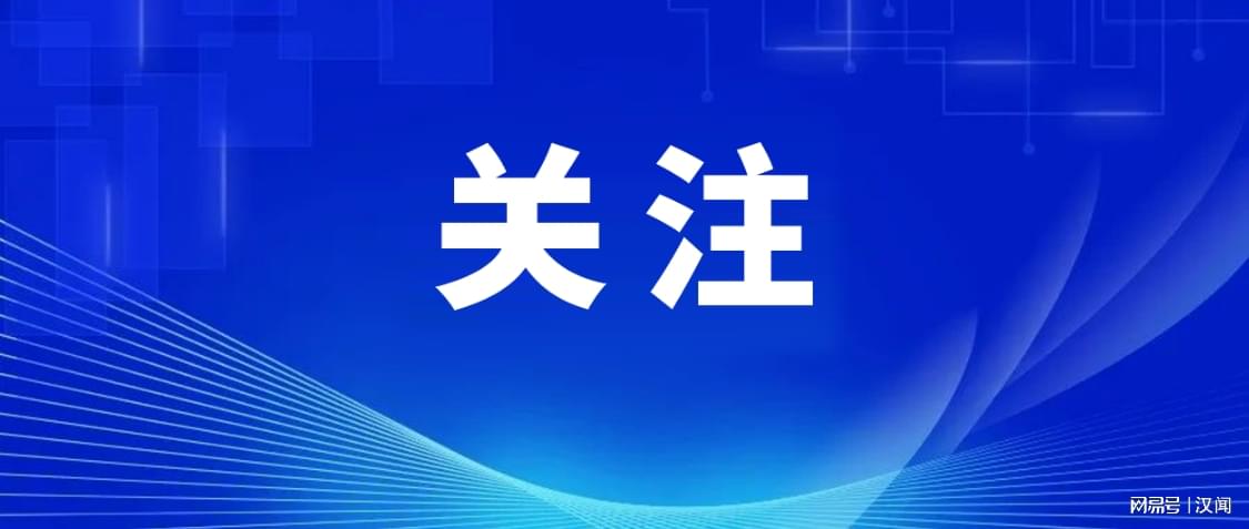 新澳姿料大全正版资料免费介绍,灵活执行方案_PLH49.679创意设计版