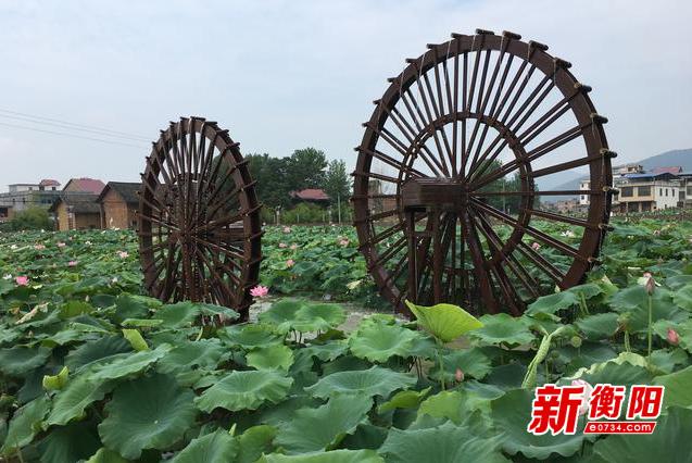 两江新区龙兴最新项目，探索自然美景的轻松之旅启程地