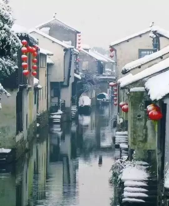 刘芳菲最新动态揭秘，小巷深处的独特风味探秘之旅