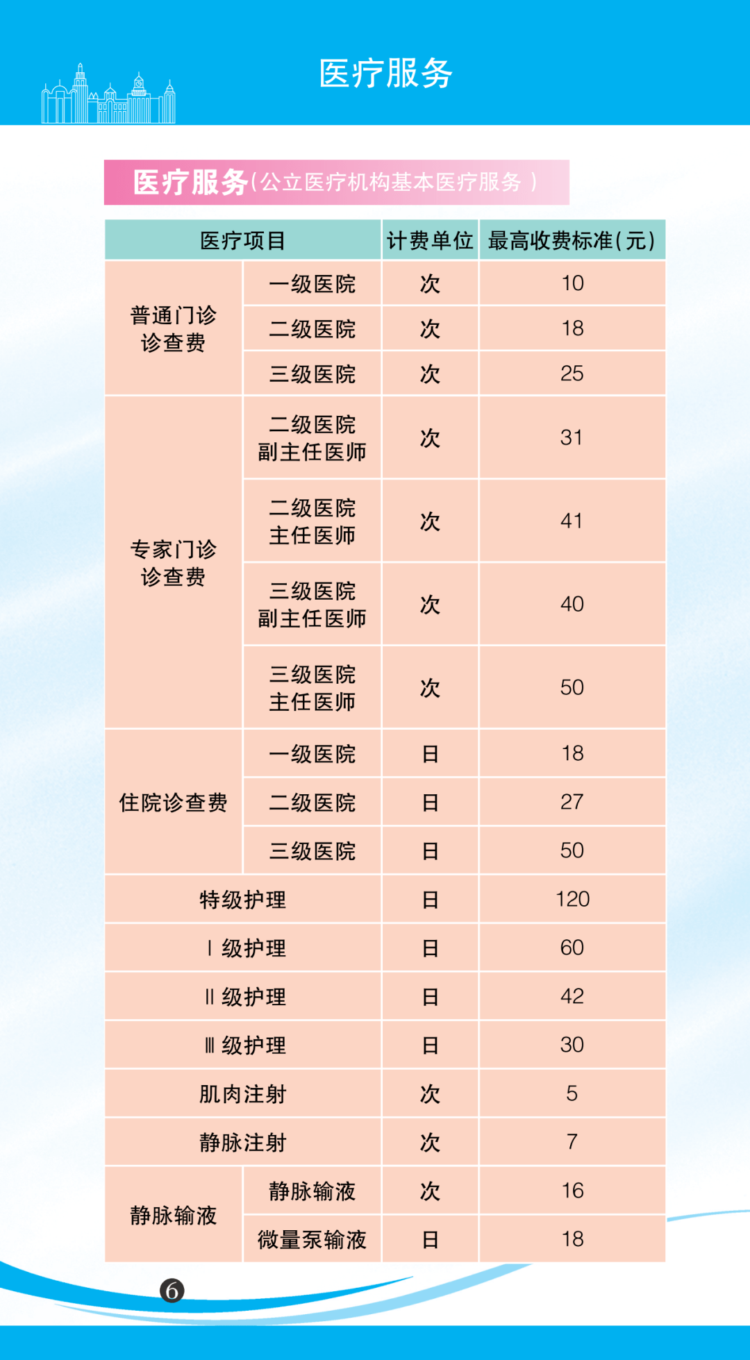 灵芝价格最新动态，变化中的学习之路与自信的力量在成长之路上的影响