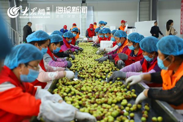 华能沾化电厂最新动态，科技引领绿色能源重塑生活新篇章