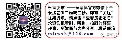 乐亭今日最新招聘信息概览与观点论述