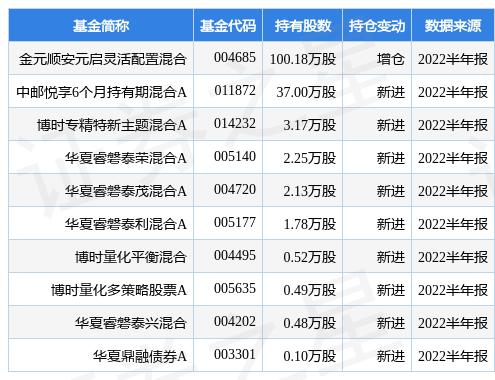 中海能源基金今日最新净值深度解析与观察