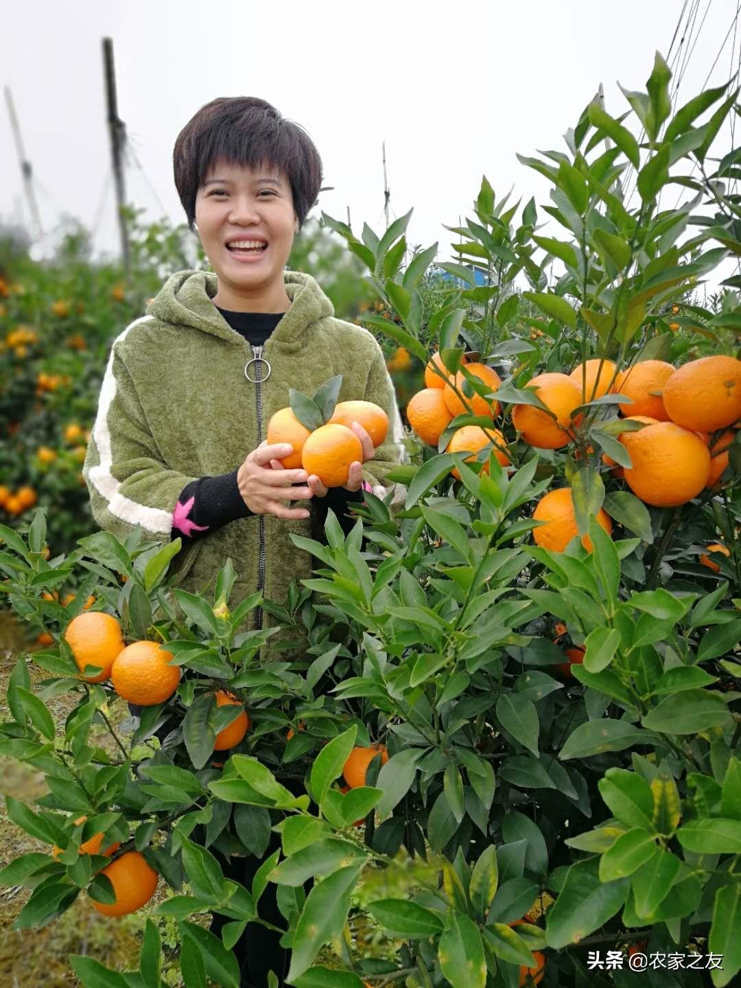 咸阳女皇实业最新动态，自然美景的探索之旅