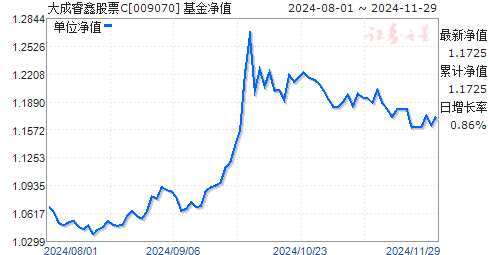 大成睿景最新净值查询指南及详细步骤