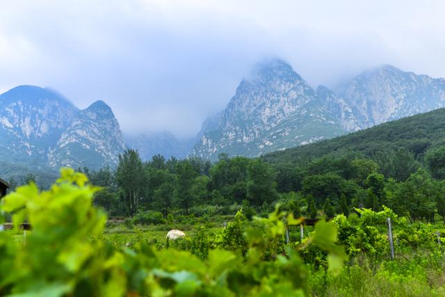 深圳月嫂公司最新排行榜，探索自然美景与内心宁静的旅程